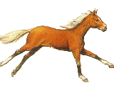 léétím.gif