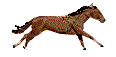 zdrhám !!.gif